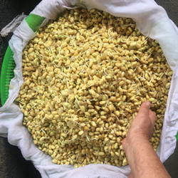 Mầm đậu nành nguyên xơ 200 gram